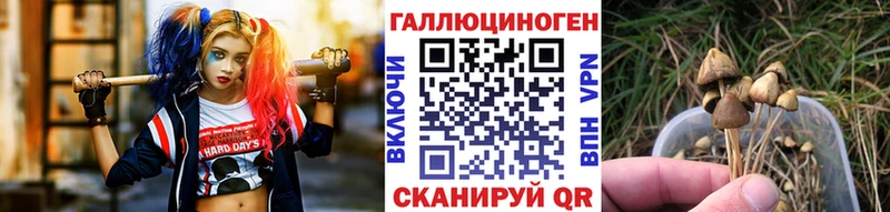 сколько стоит  Дзержинск  Псилоцибиновые грибы Magic Shrooms 
