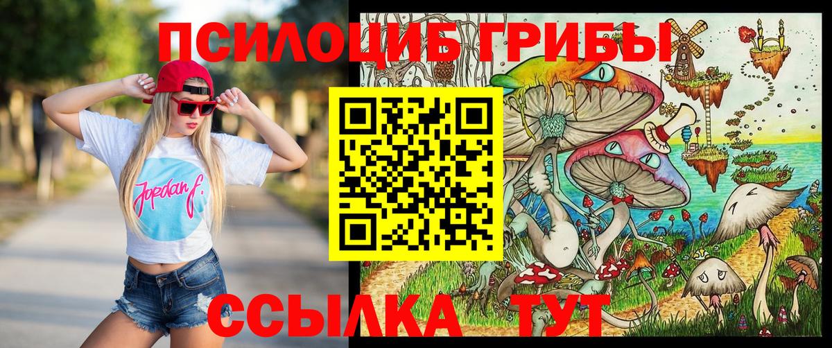 Дзержинск  где купить наркоту  Вход с VPN  Галлюциногенные грибы GOLDEN TEACHER 